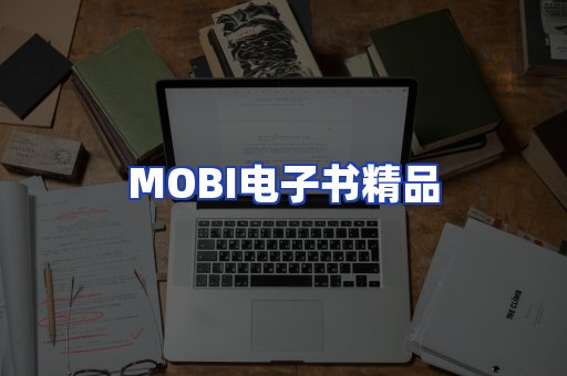 外文电子书产品